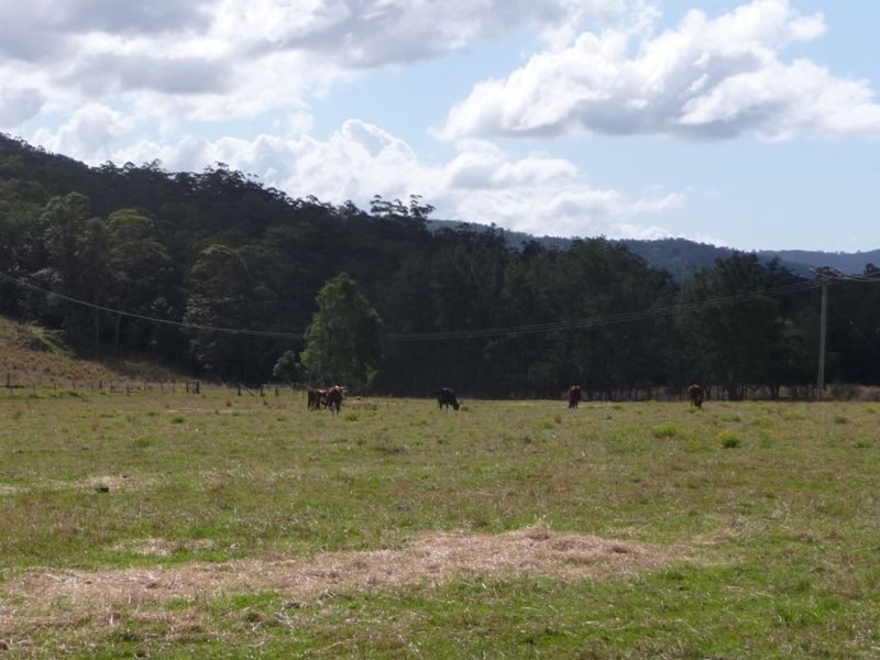 2851 Nerang-Murwillumbah Road, Numinbah Valley QLD 4211