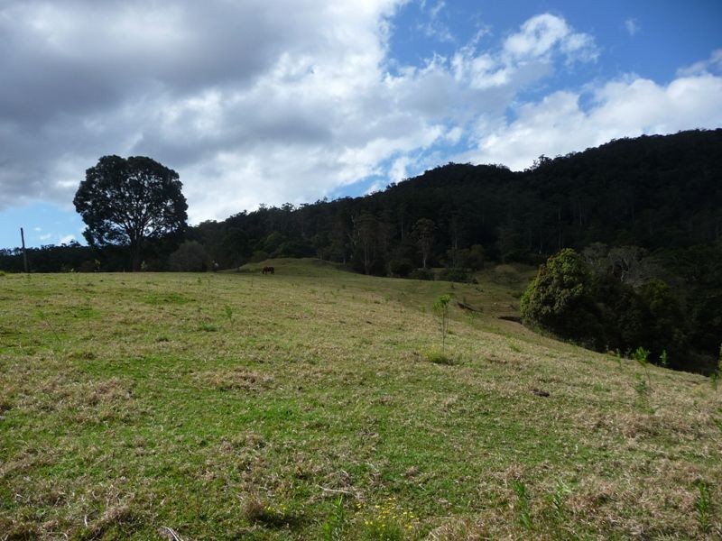 2851 Nerang-Murwillumbah Road, Numinbah Valley QLD 4211