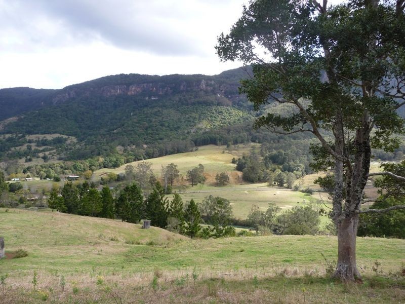 2851 Nerang-Murwillumbah Road, Numinbah Valley QLD 4211