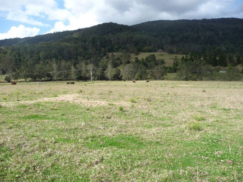 2851 Nerang-Murwillumbah Road, Numinbah Valley QLD 4211