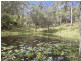 17 Parkway Drive, Advancetown QLD 4211