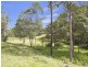 17 Parkway Drive, Advancetown QLD 4211