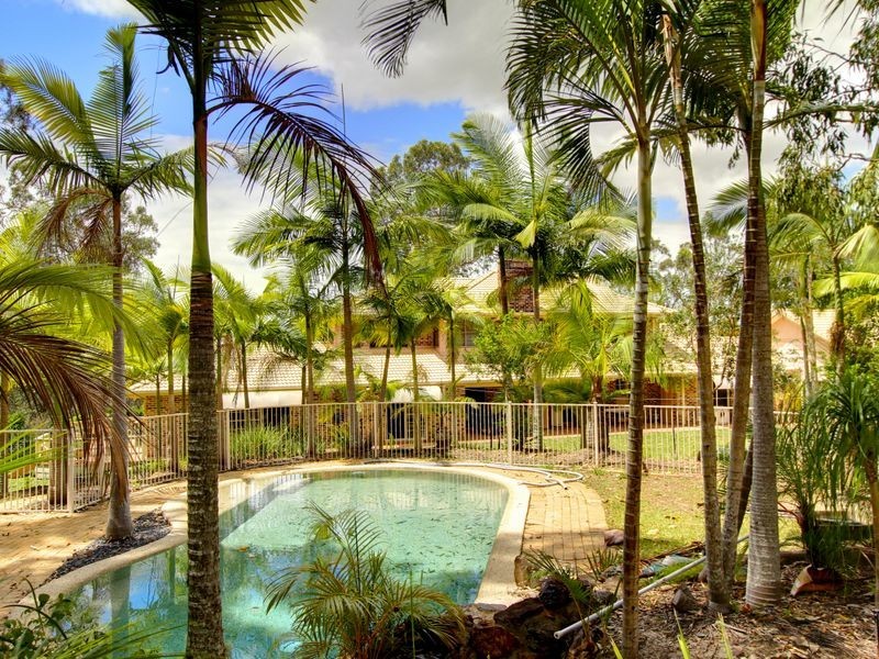 85 Birdlife Court, Nerang QLD 4211