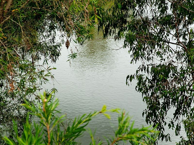 31 Riverwood Drive, Ashmore QLD 4214