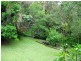 10 Bent Street, Nerang QLD 4211