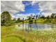 20 Ibrox Park Court, Nerang QLD 4211