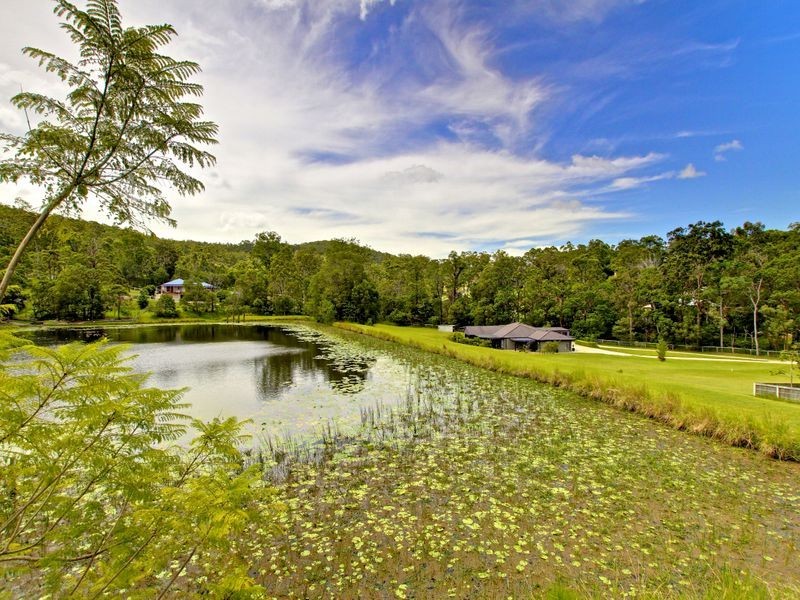 20 Ibrox Park Court, Nerang QLD 4211