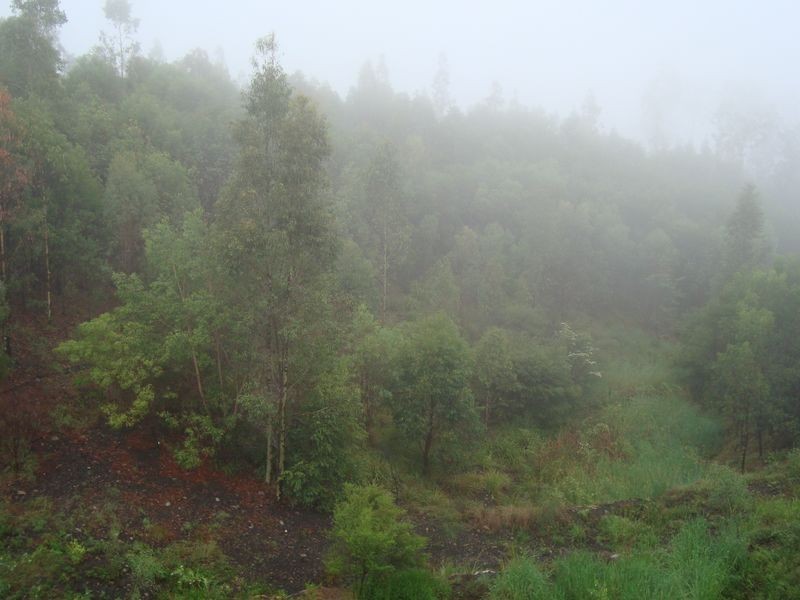 20/2 Ridgeline Way, Highland Park QLD 4211