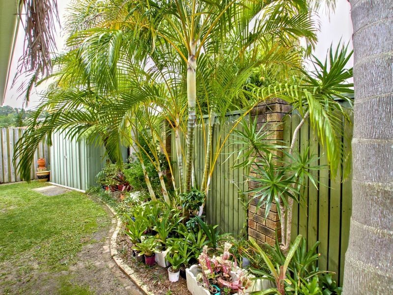 15 Oasis Crescent, Elanora QLD 4221