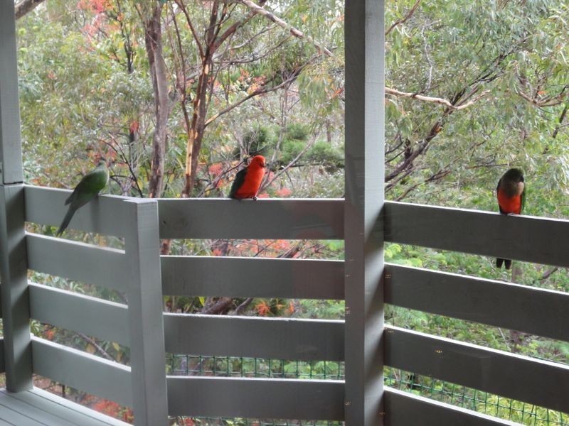 9 Trafalgar Street, Highland Park QLD 4211