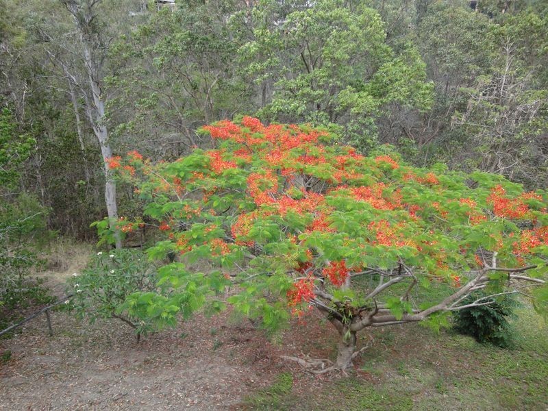 9 Trafalgar Street, Highland Park QLD 4211