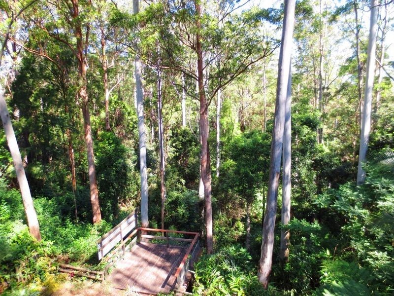 90 North Road, Lower Beechmont QLD 4211