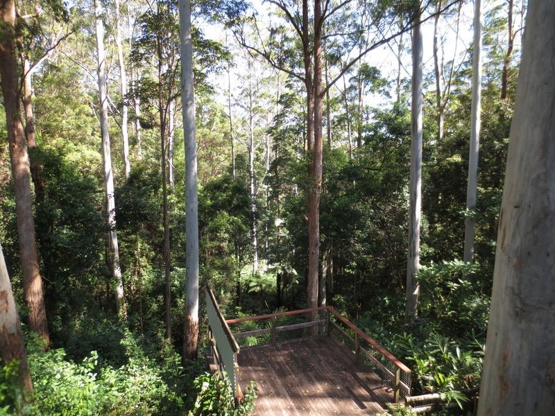 90 North Road, Lower Beechmont QLD 4211