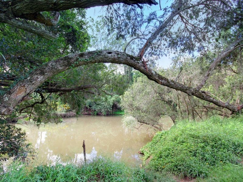 24 Souter Street, Nerang QLD 4211