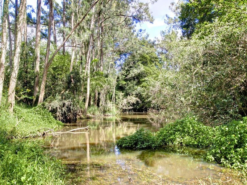 32 Yarraowee Drive, Nerang QLD 4211