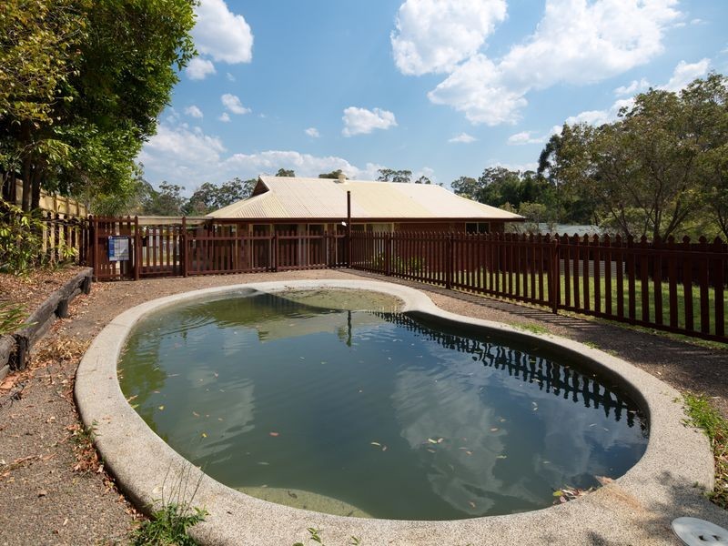 59 Macquarie Avenue, Molendinar QLD 4214