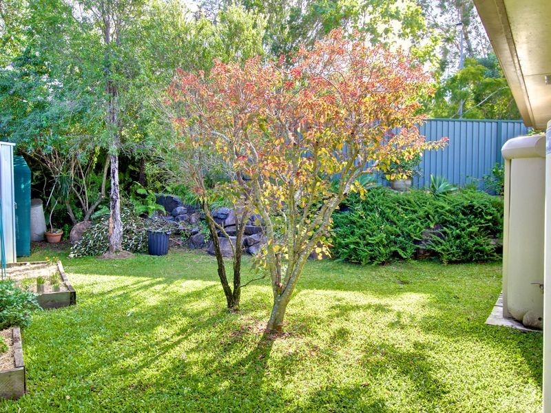 3 Tamarind Close, Nerang QLD 4211