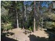 159 North Road, Lower Beechmont QLD 4211