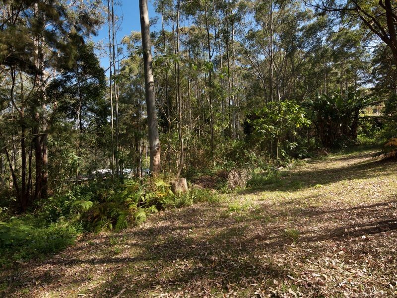 159 North Road, Lower Beechmont QLD 4211