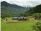 3104 Nerang-Murwillumbah Road, Natural Bridge QLD 4211