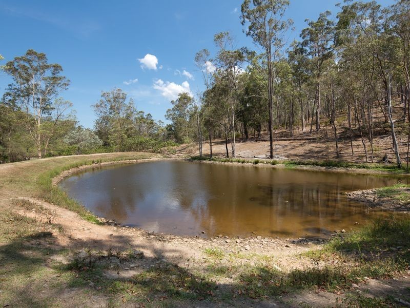 53 Parkway Drive, Advancetown QLD 4211