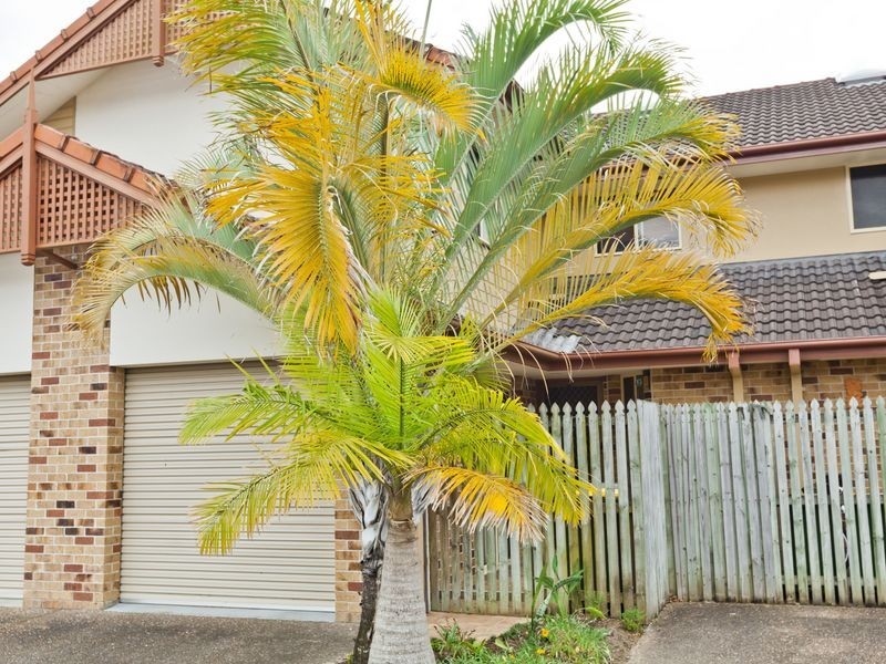 5/36 Weedons Road, Nerang QLD 4211
