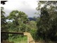 2957a Nerang-Murwillumbah Road, Natural Bridge QLD 4211