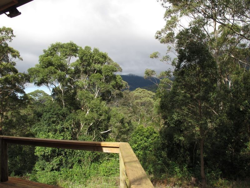 2957a Nerang-Murwillumbah Road, Natural Bridge QLD 4211