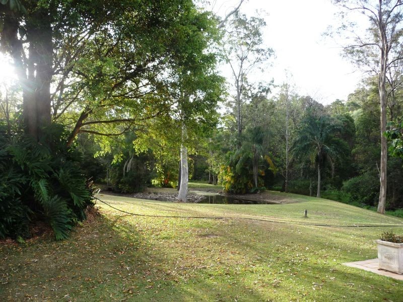 10 Narrow Leaf Road, Advancetown QLD 4211