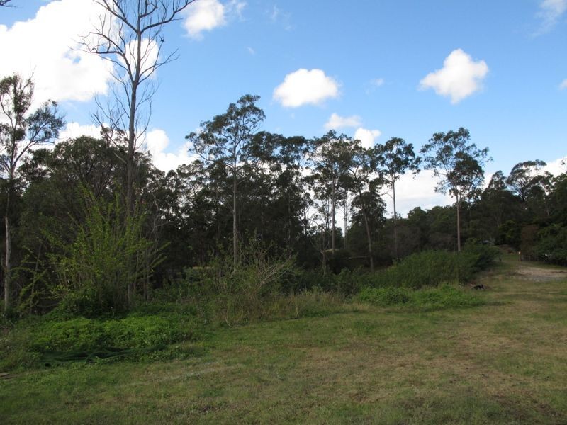 45 Pademelon Pass, Nerang QLD 4211