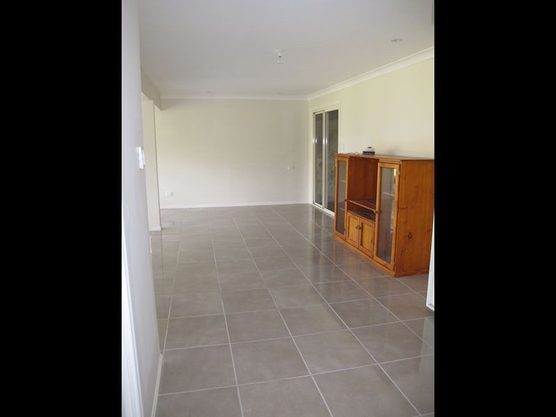 45 Pademelon Pass, Nerang QLD 4211