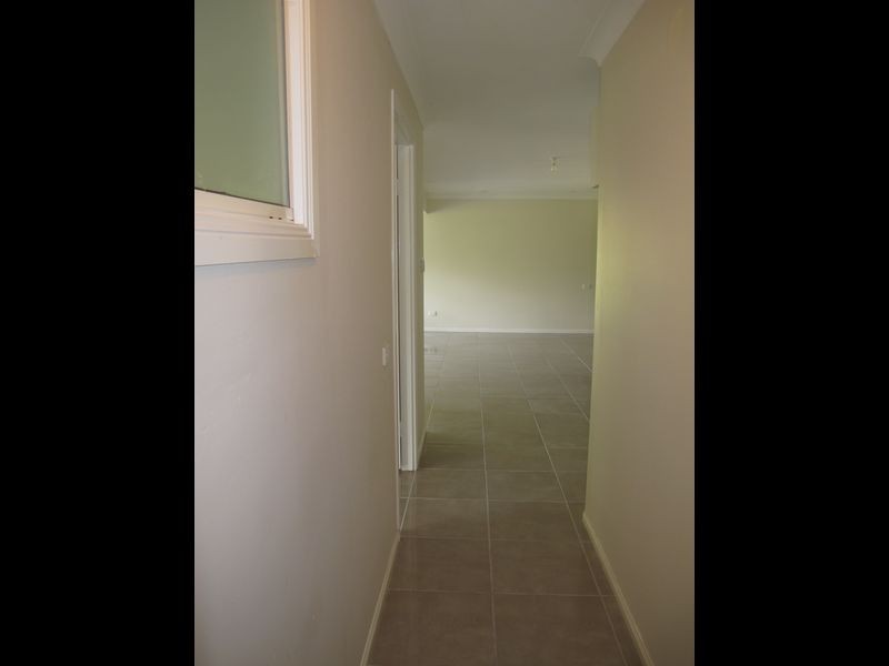 45 Pademelon Pass, Nerang QLD 4211