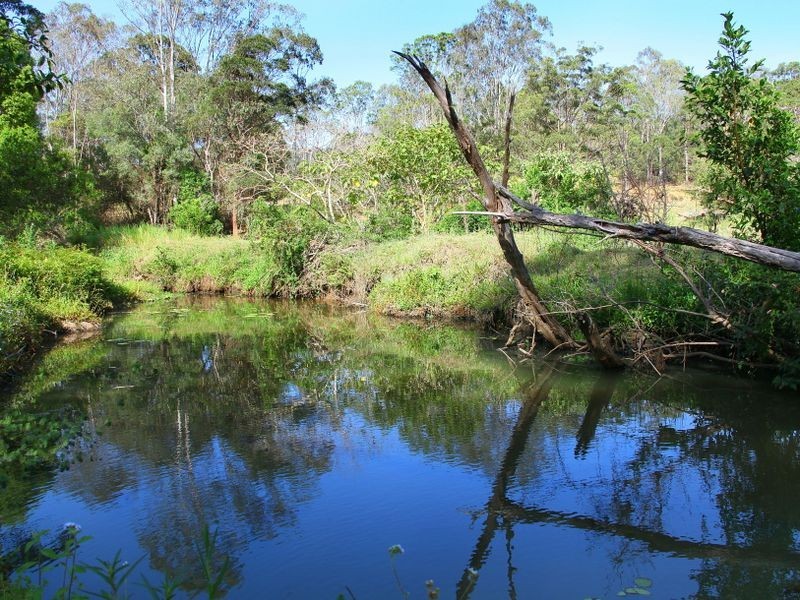 53 Longhill Road, Gilston QLD 4211