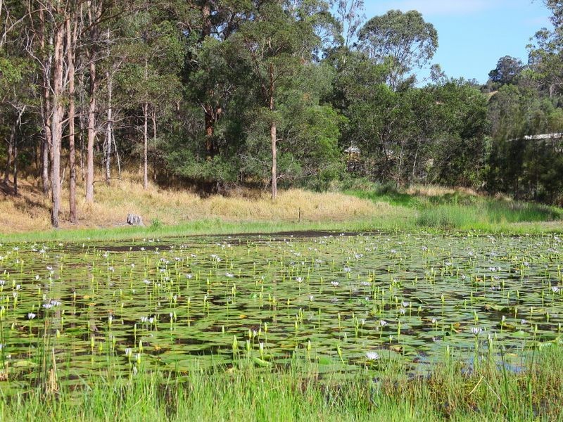 53 Longhill Road, Gilston QLD 4211