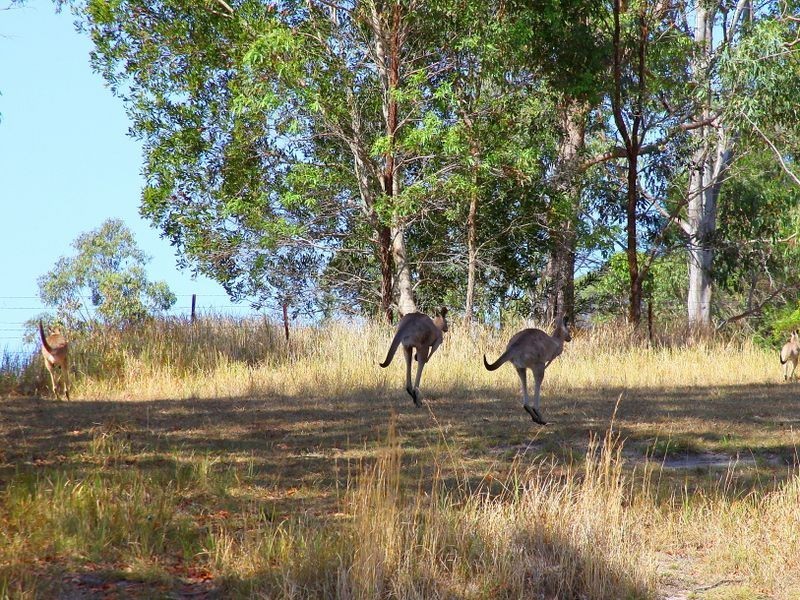 53 Longhill Road, Gilston QLD 4211