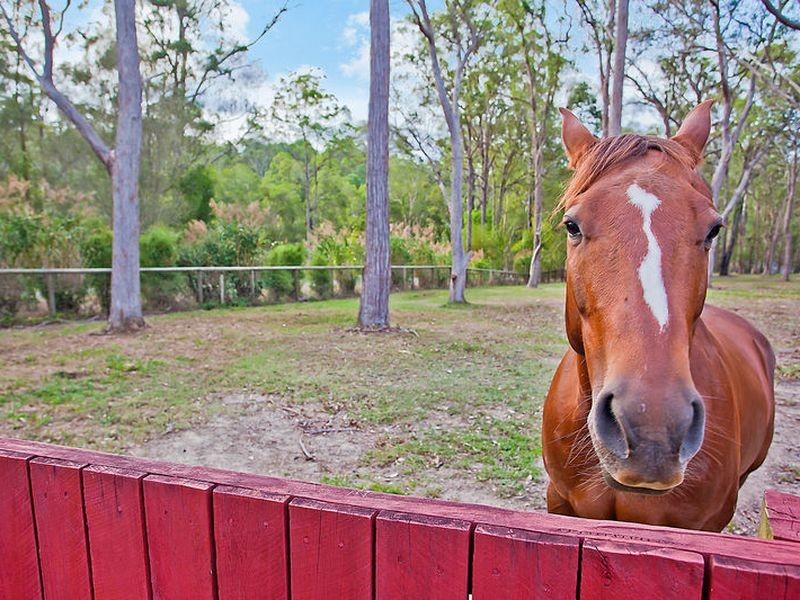 328 Gilston Road, Gilston QLD 4211