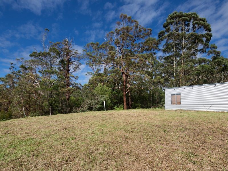 Lower Beechmont QLD 4211