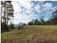 Lower Beechmont QLD 4211