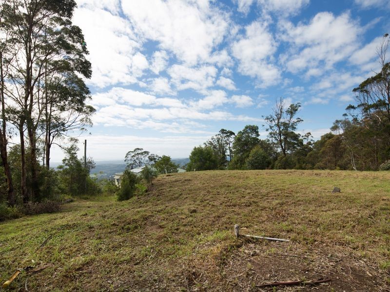 Lower Beechmont QLD 4211