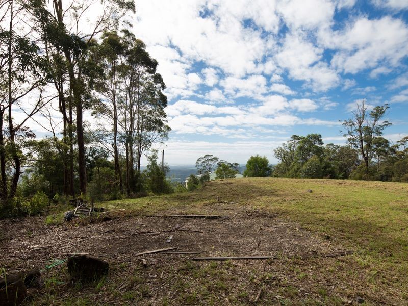Lower Beechmont QLD 4211