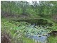 474 Clagiraba Road, Clagiraba QLD 4211