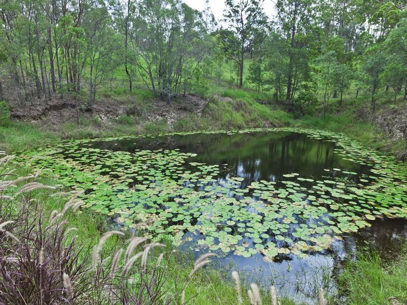 474 Clagiraba Road, Clagiraba QLD 4211