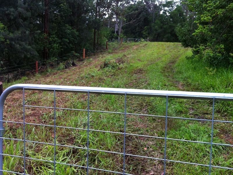 2925 Nerang-Murwillumbah Road, Natural Bridge QLD 4211