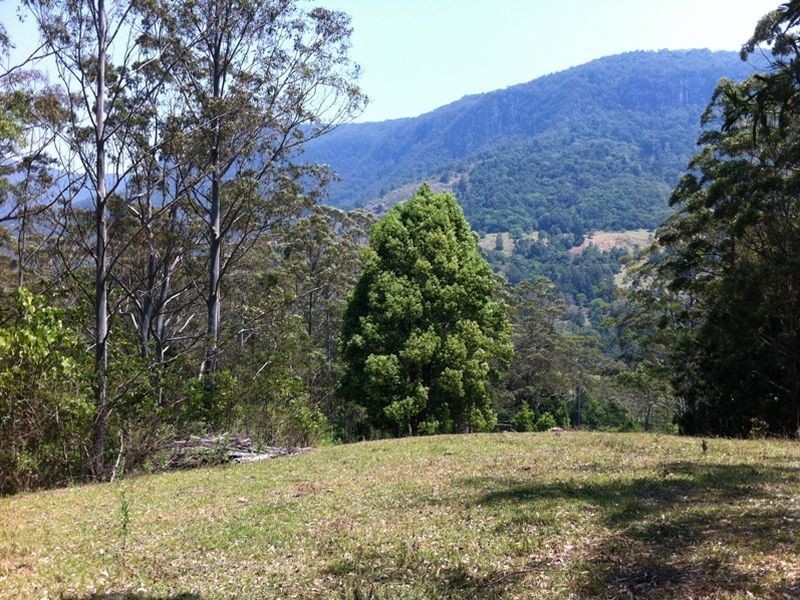 2925 Nerang-Murwillumbah Road, Natural Bridge QLD 4211