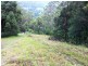 2925 Nerang-Murwillumbah Road, Natural Bridge QLD 4211