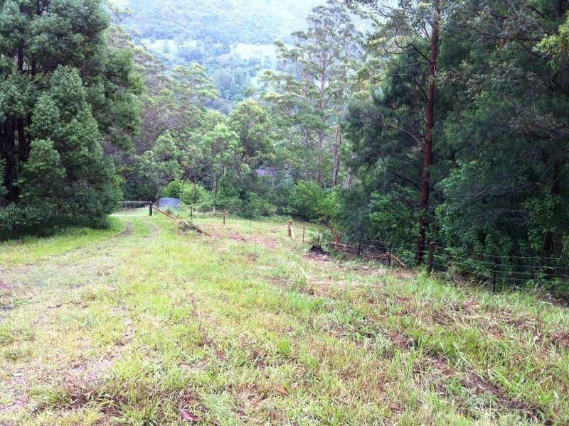 2925 Nerang-Murwillumbah Road, Natural Bridge QLD 4211