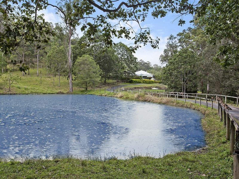 37 Parkway Drive, Nerang QLD 4211
