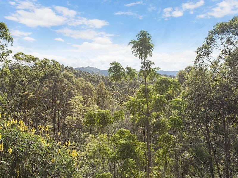 168 Clagiraba Road, Clagiraba QLD 4211