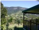 3033 Nerang-Murwillumbah Road, Natural Bridge QLD 4211