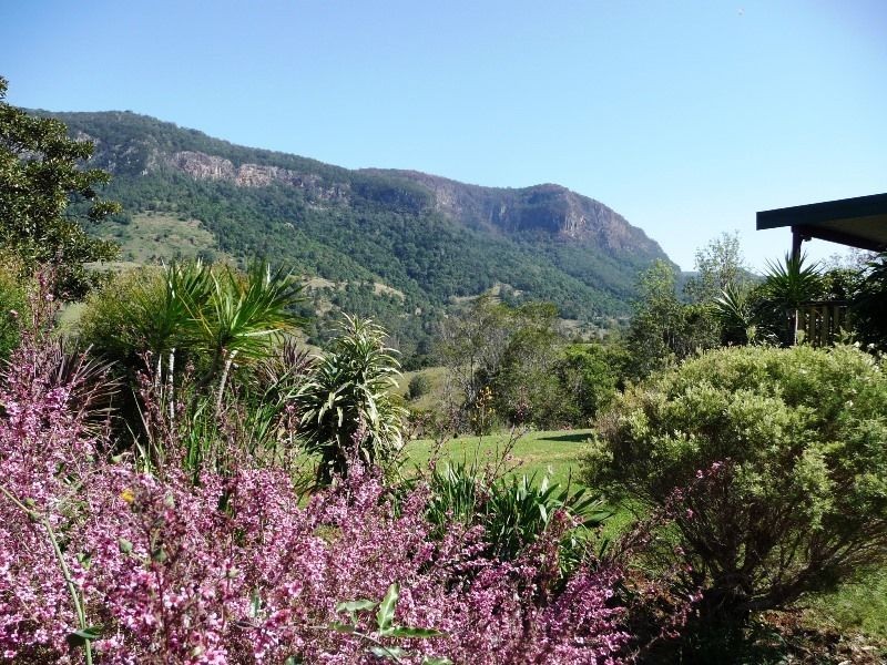 3033 Nerang-Murwillumbah Road, Natural Bridge QLD 4211